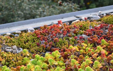the cost of Cayton green roof installation