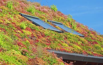Cayton living roof systems